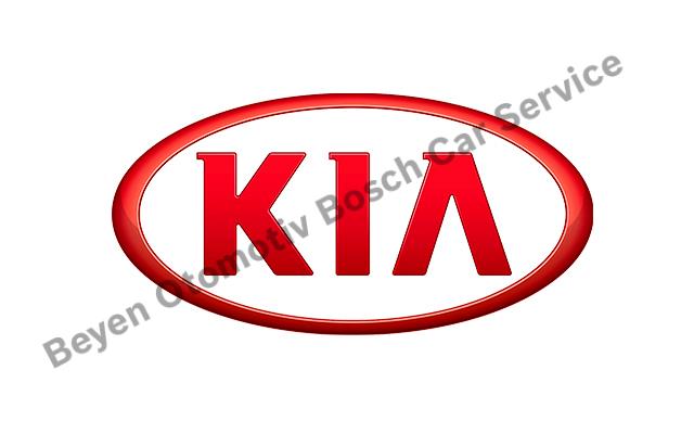 Kayseri Kia Servisi