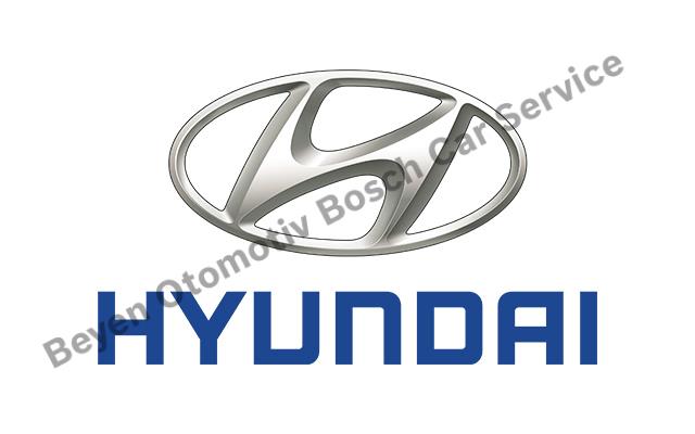 Kayseri Hyundai Servisi